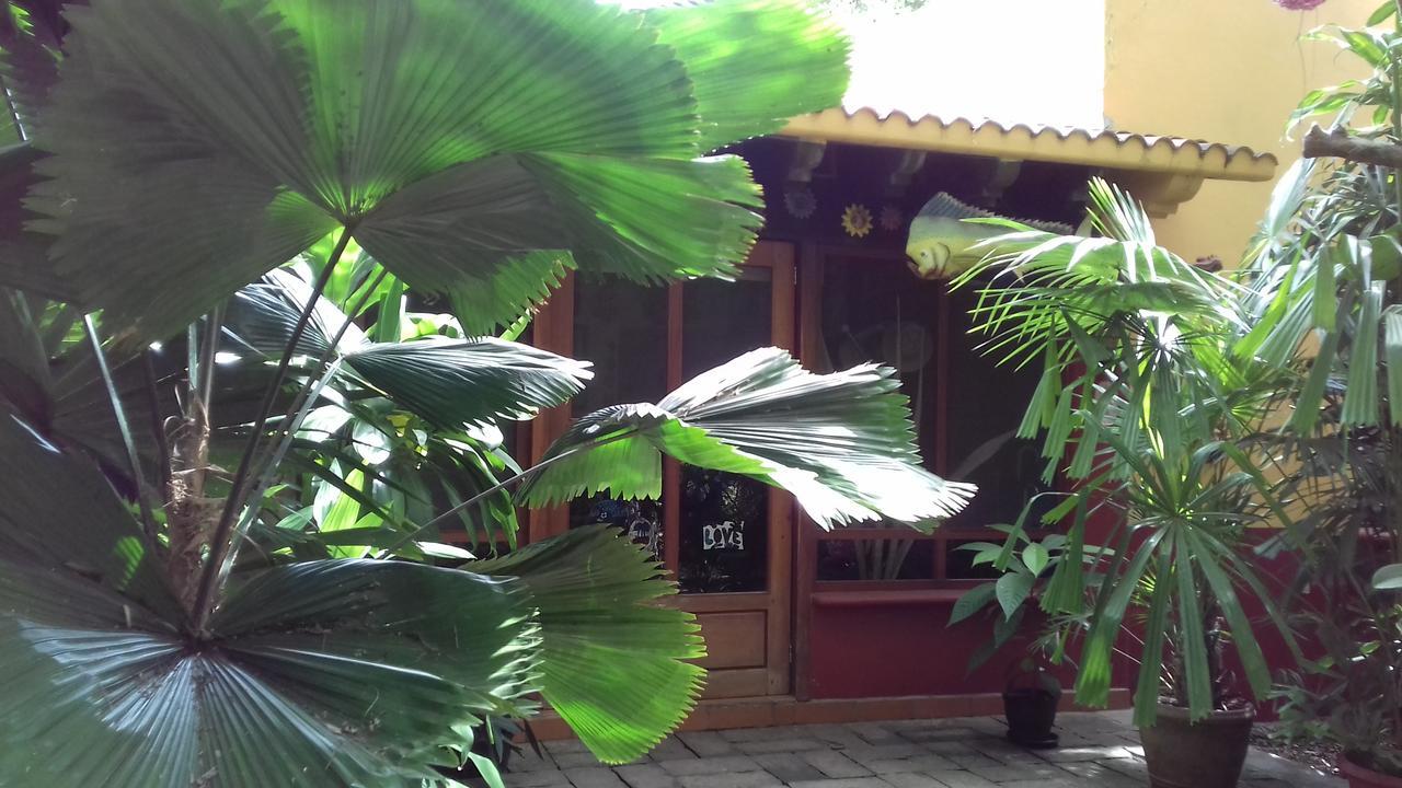 Casa Kin33 Bed and Breakfast Cancún Exteriör bild